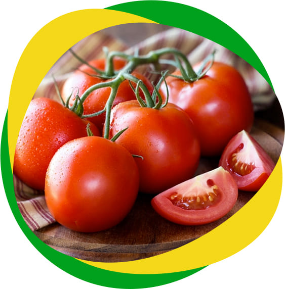 Tomate